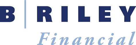 B. Riley Financial's diverse suite of services goes beyond tr