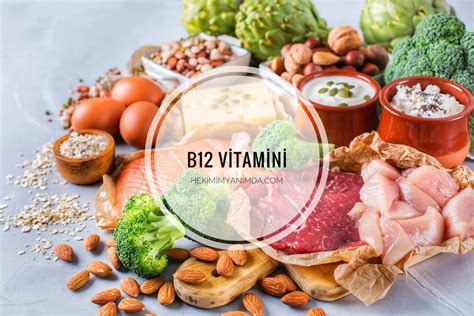 B12 vitamini kaynakları
