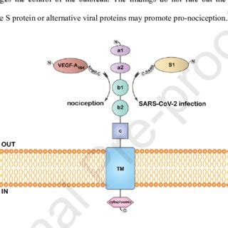 B1AQH0 - UniProt