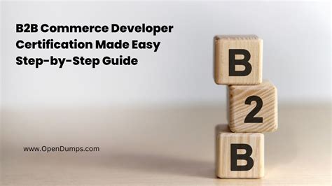 B2B-Commerce-Developer Lernressourcen