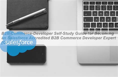 B2B-Commerce-Developer Lerntipps