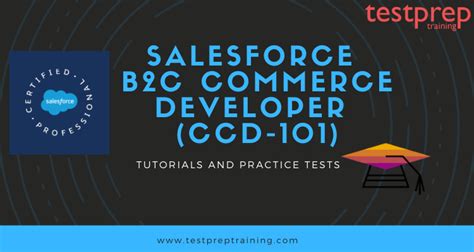 B2B-Commerce-Developer Online Test