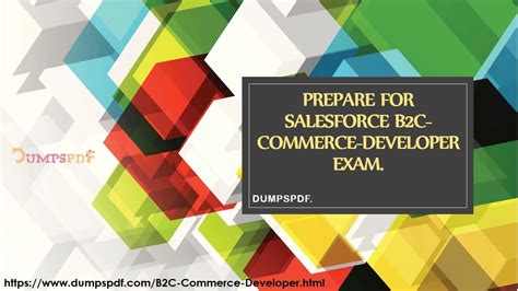 B2C-Commerce-Developer Dumps