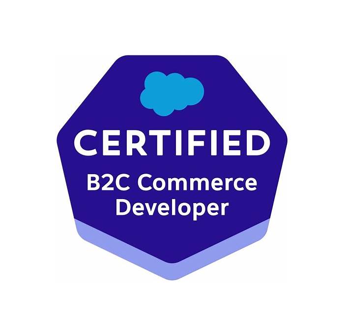 B2C-Commerce-Developer Lerntipps | Sns-Brigh10