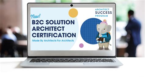 B2C-Solution-Architect Online Praxisprüfung