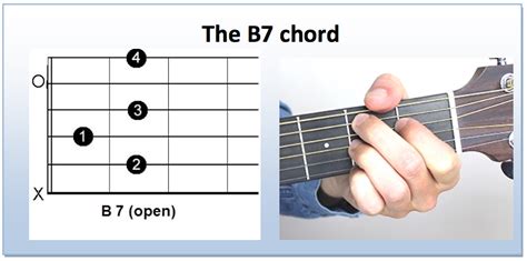 B7 chord guitar. Dec 19, 2023 · Standard Way to Play the B7 Guitar Chord. Try the below version for a full-sounding B7 guitar chord that is easier than the regular barre variety. Index finger: place it on the 4th (D) string on the 1st fret. Middle finger: put it on the 5th (A) string on the 2nd fret. Ring finger: set it on the 3rd (G) string on the 2nd fret. 