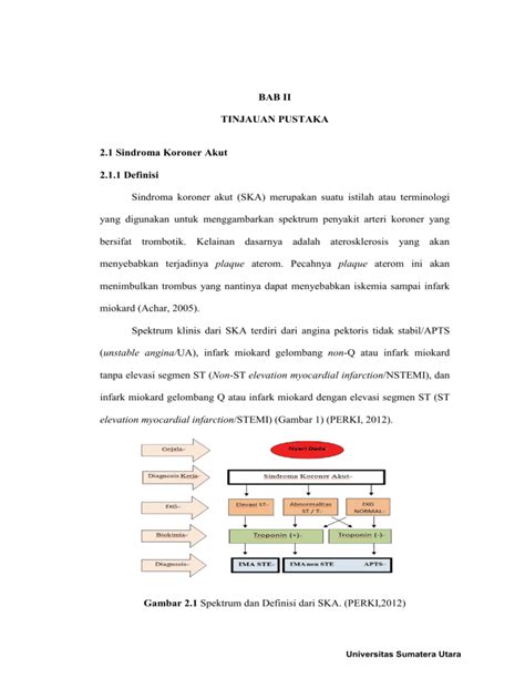 BAB II TINJAUAN PUSTAKA 2.1 Definisi sindroma metabolik