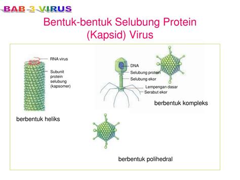 BAB III PROTEIN - wintechmobiles.com