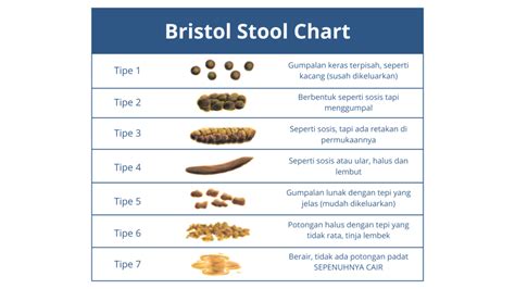 bab kuning - elchoricharrua.com