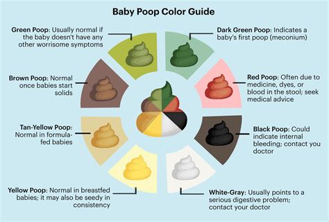 Baby poop: What to expect - Mayo Clinic - muktibox.com