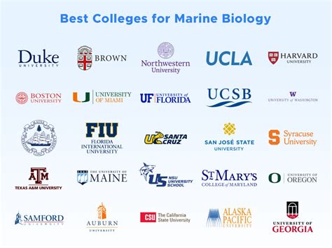 Bachelor's degree in Marine Science and Technology - UPC … - raincitystudios.com