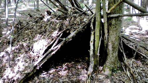 Back To Basics On Shelter - New Zealand Tree Crops Association … - raincitystudios.com