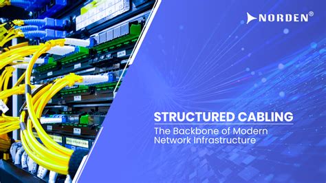 Backbone Cabling: The Foundation of Modern Networks - wintechmobiles.com