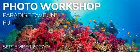 Backscatter Underwater Photography Workshop 2026 - raincitystudios.com