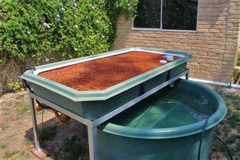Backyard Aquaponics Kits - Woodvale Fish & Lily Farm - raincitystudios.com