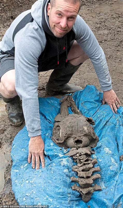 Backyard Mystery 8,000-Year-Old Dolphin Found ... - raincitystudios.com
