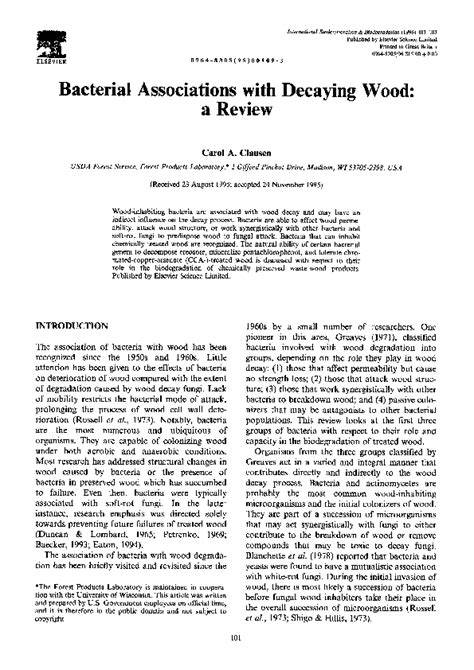 Bacterial associations with decaying wood: a review - raincitystudios.com