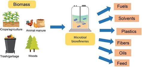 Bacterial Biorefineries: Transforming Agro-Industrial Waste into ... - raincitystudios.com