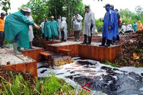 Badan Restorasi Gambut revitalisasi lahan bekas terbakar - raincitystudios.com