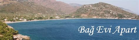 codini.rgarabwor.edu.pl. 