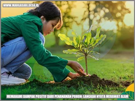 Bagaimana Menanam dan Merawat Pohon - raincitystudios.com