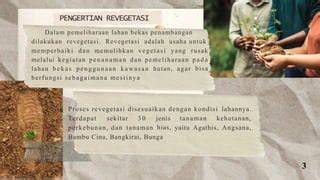 Bagaimana Proses Revegetasi Lahan Bekas … - raincitystudios.com