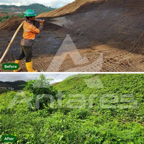 Bagaimana Proses Revegetasi Lahan Pasca … - raincitystudios.com