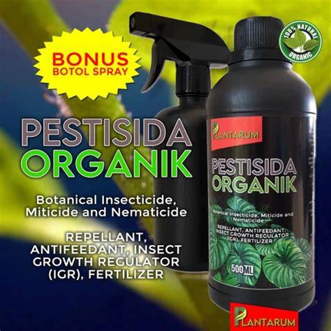 Bahan Insektisida Alami untuk Tanaman - raincitystudios.com