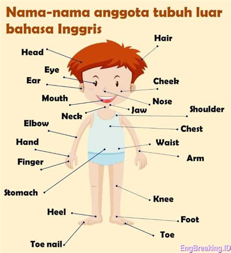 bahasa inggris dalam - elchoricharrua.com