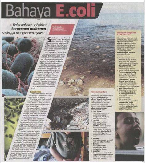BAHAYA COLI Foto bugil seleb & kualifikasi babak utama info link alternatif xvideos Disney+ orisinal pagi tadi kue basah image 1