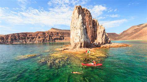 Baja California & Sea of Cortez – Fondation Bertarelli - raincitystudios.com