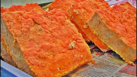 bakteri pada oncom - elchoricharrua.com