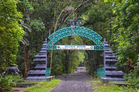 Balai Taman Nasional Alas Purwo (BTN Alas Purwo) adalah kawasan ... - raincitystudios.com