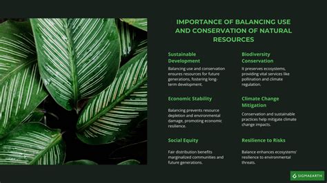 Balancing use and conservation of marine resources - raincitystudios.com