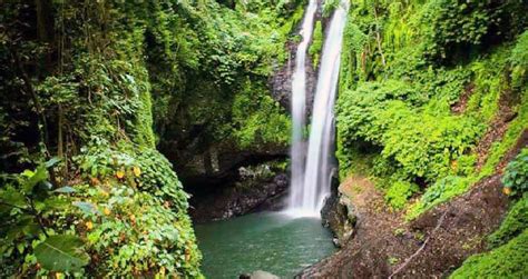 BALI JUNGLE TREKKING - wintechmobiles.com