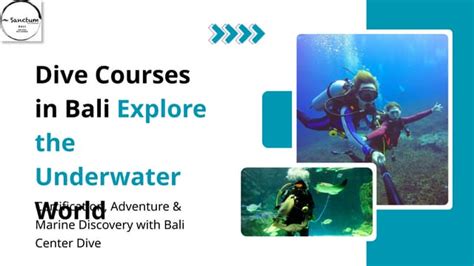 Bali Underwater Photo Courses - Underwater Tribe - raincitystudios.com