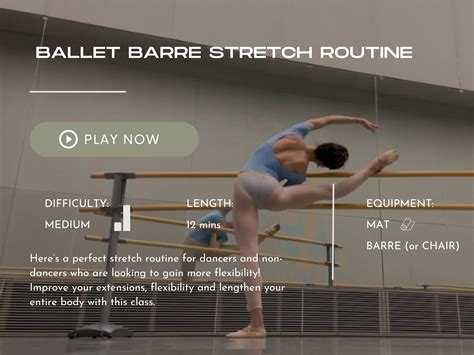 Ballet Barre - The Secret Tricks - muktibox.com