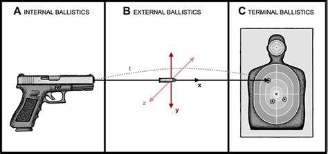 Ballistics: Types & Applications - Collegedunia - wintechmobiles.com