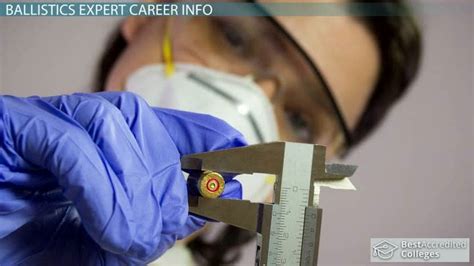 Ballistics Expert Career Guide (Requirements, Duties - wintechmobiles.com