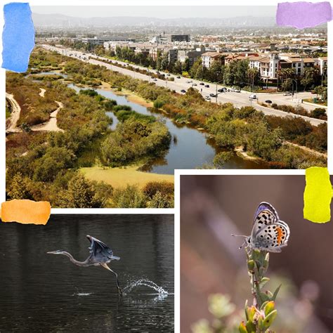 Ballona Wetlands - muktibox.com