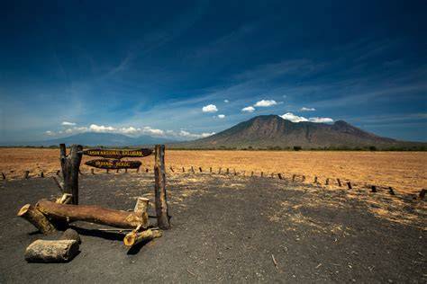 Baluran National Park - The African Savanna of Java - raincitystudios.com