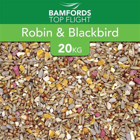 Bamfords Robin & Songbird Wild Bird Food 20kg - No Mess Seed Mix … - raincitystudios.com