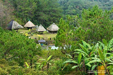 Banaue Ethnic Village and Pine Forest Resort - raincitystudios.com