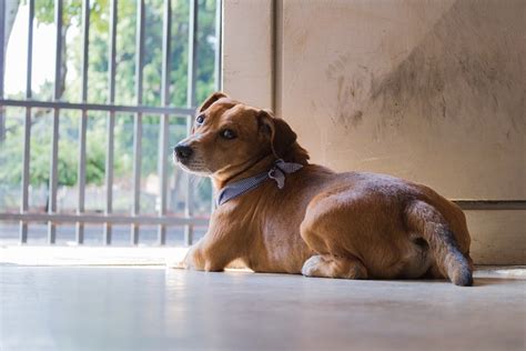 bandar798 login - elchoricharrua.com