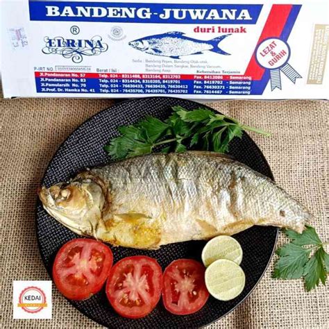 Bandeng - Wikipedia bahasa Indonesia, ensiklopedia … - raincitystudios.com