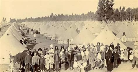 Bangsa Boer - STEKOM - wintechmobiles.com