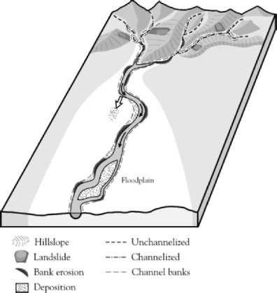 Bank Erosion as a Desirable Attribute of Rivers - Oxford Academic - raincitystudios.com