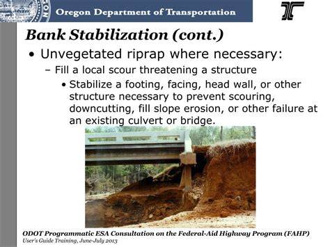 Bank Stabilization - raincitystudios.com