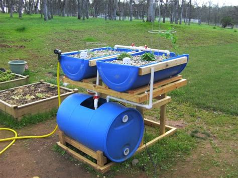 Barrel Aquaponics System: Barrelponics - Flourishing … - raincitystudios.com