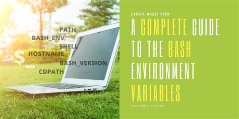 BASH Environment and Shell Variables Complete Guide Answered 2022 Droidrant
